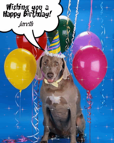 happy birthday balloons gif. happy birthday balloons gif. happy-irthday-dog-alloons-; happy-irthday-dog-alloons-. steadysignal. May 3, 07:24 AM. so much for the no malware on macs
