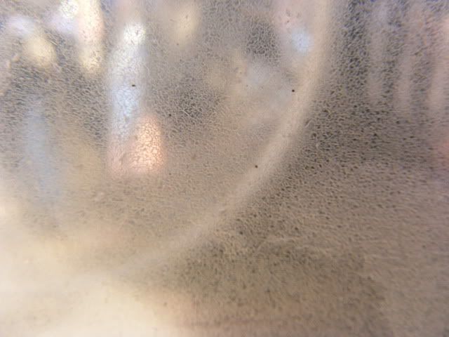 b5.jpg