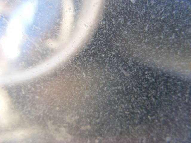 b7.jpg