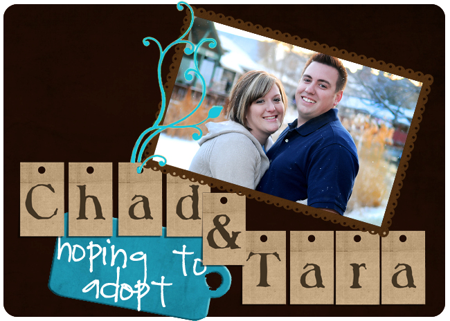 Chad and Tara Hoping to Adopt