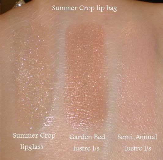 SummerCroplipbagswatches.jpg