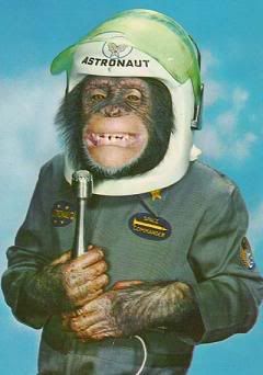 [Image: chimp-astronaut2.jpg]