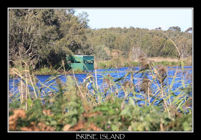 IMAGE: http://i610.photobucket.com/albums/tt184/apache_cat/Bribie%20Island/BuckleysHole.jpg