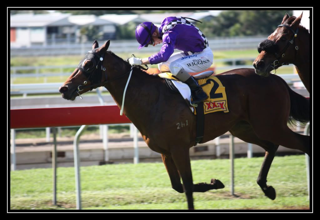 IMAGE: http://i610.photobucket.com/albums/tt184/apache_cat/GoCartRace2.jpg