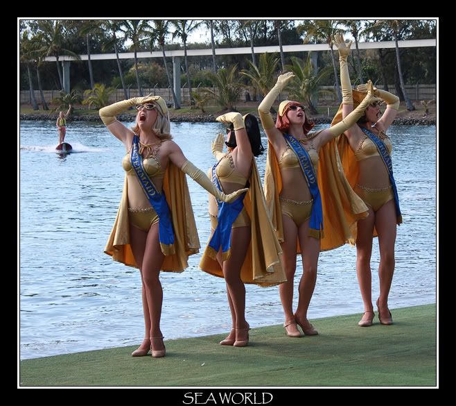 IMAGE: http://i610.photobucket.com/albums/tt184/apache_cat/Sea%20World/CopyofAcademyAward.jpg