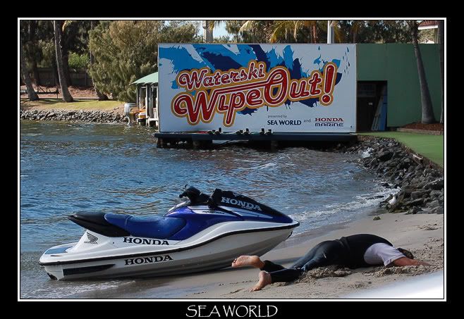 IMAGE: http://i610.photobucket.com/albums/tt184/apache_cat/Sea%20World/Henchman2.jpg