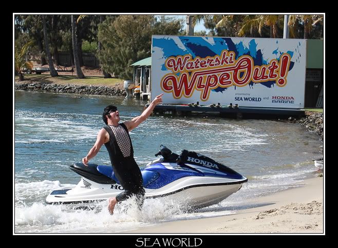 IMAGE: http://i610.photobucket.com/albums/tt184/apache_cat/Sea%20World/TheCulprit.jpg