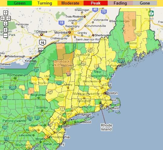 northeast us foliage map