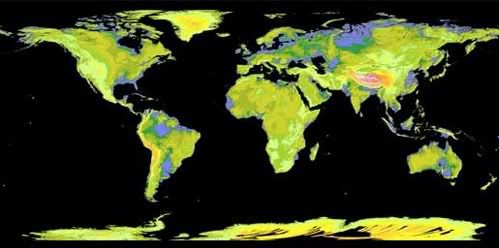 world topographical map