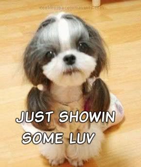 Showing Love Photo Picture