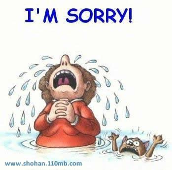 Sorry Photo Picture