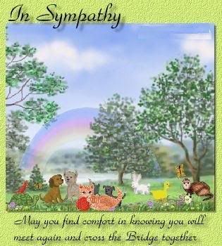 Sympathy Photo Picture