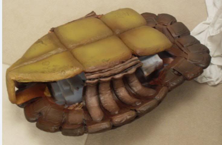 wipturtle01.jpg