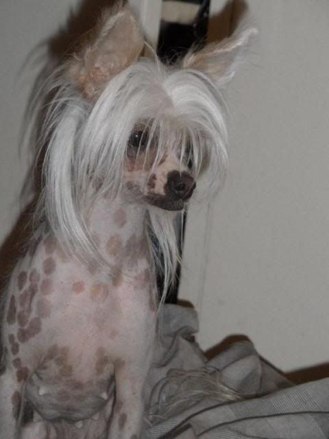 karelenlucyenjuno152.jpg
