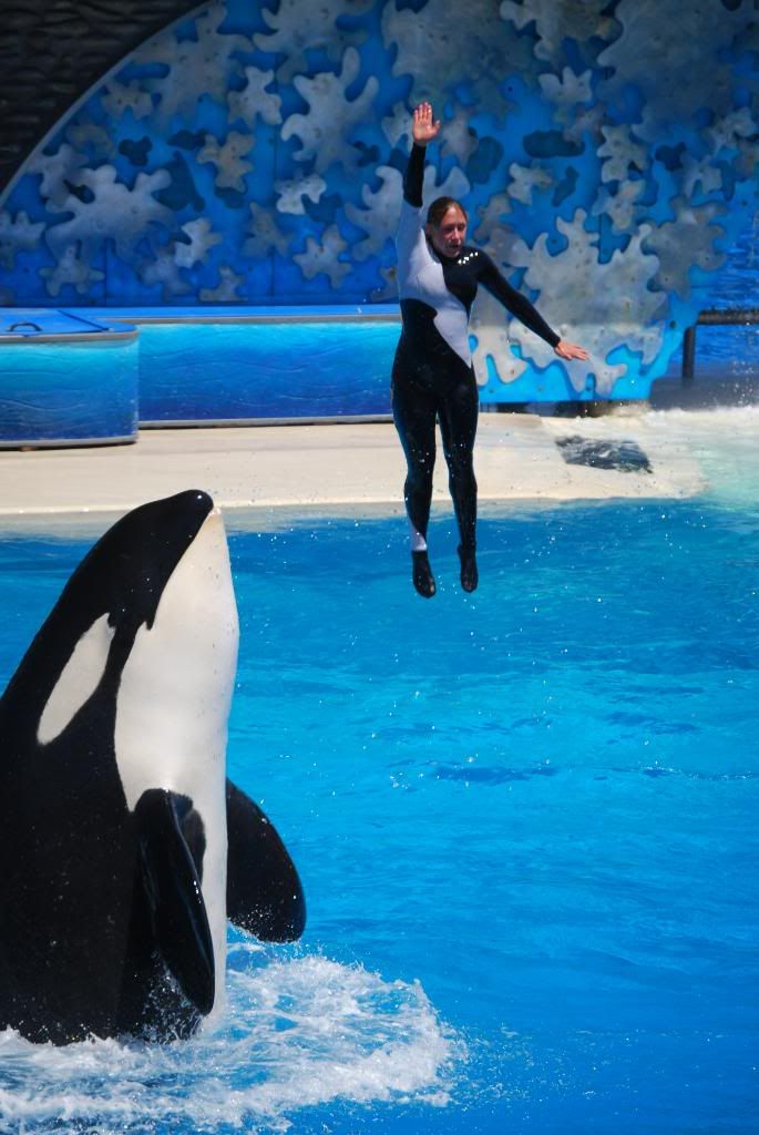 Diving Oops Videos Photobucket