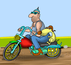 Rebel and his dog on a motorcycle