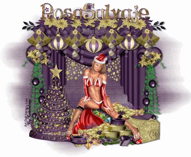 ChristmasbeautysexyRo.gif picture by ESPACIOSALVAJE