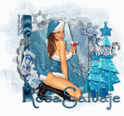 HolidaysRo.gif picture by ESPACIOSALVAJE