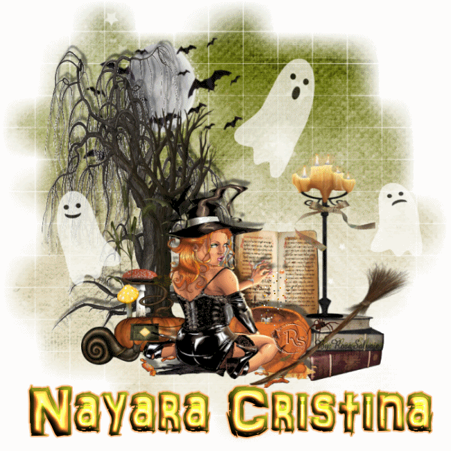 nor-1.gif picture by ESPACIOSALVAJE