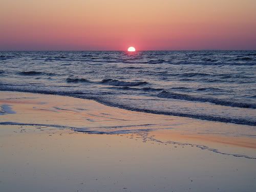 galveston sunset Pictures, Images and Photos