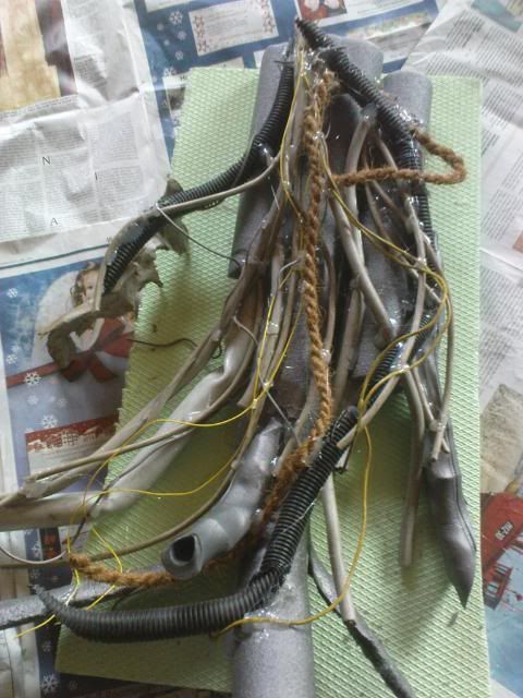 terra002.jpg?t=1325787041