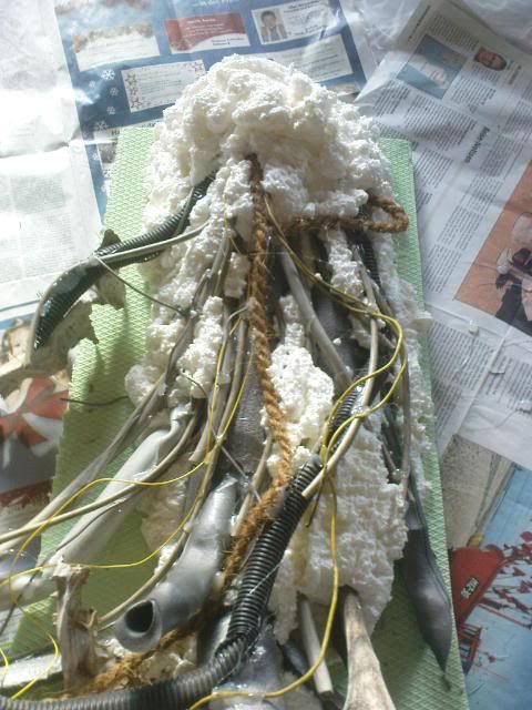 terra004.jpg?t=1325787015