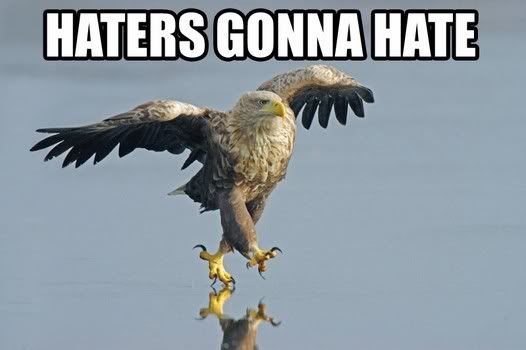 haters_gonna_hate_eagle.jpg