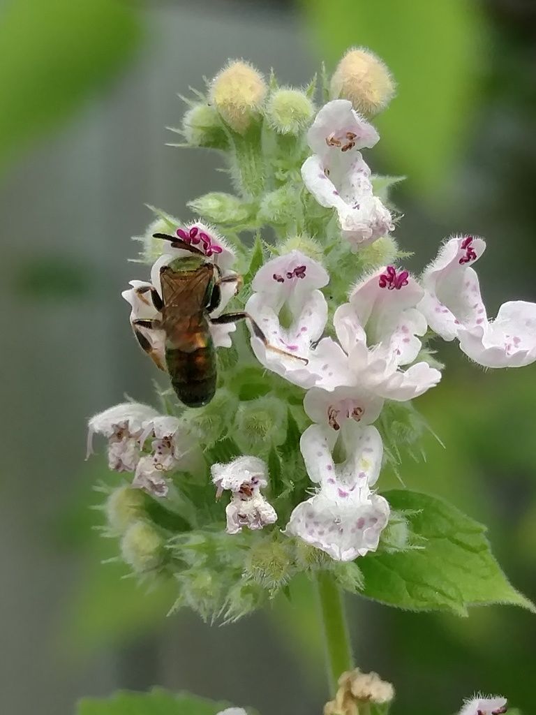 IMG_20160716_171325318_TOP_zpssrtnyvat.j