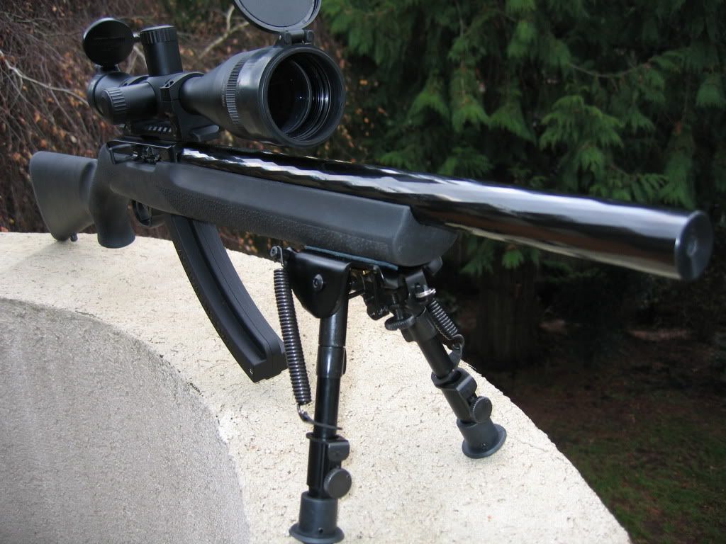 Ruger+10+22+Model+1230 ... me" sniper - My new 10/22 Target Tactical Mdl 1230 - AR15.Com Archive