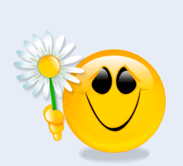 Smile Comments