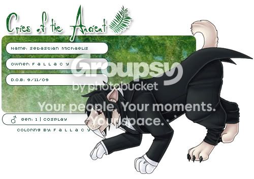 User Image