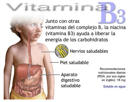 vitamin b3