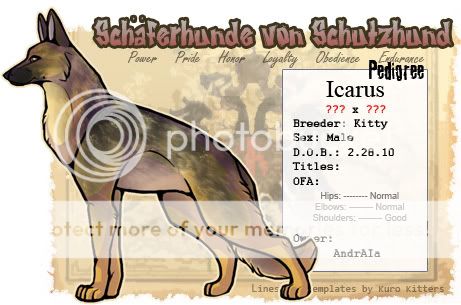 User Image